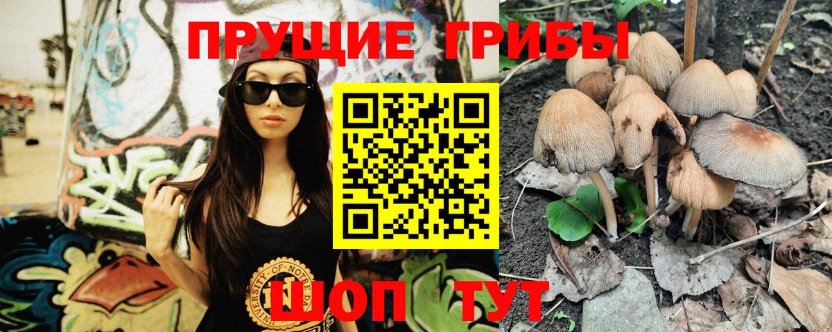 Псилоцибиновые грибы Cubensis  Псилоцибиновые грибы Magic Shrooms  Вход с VPN  Чистополь 